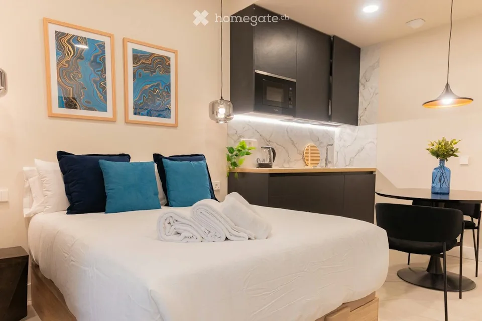 Equipped studio for rent at Wattstrasse 118050 Zürich