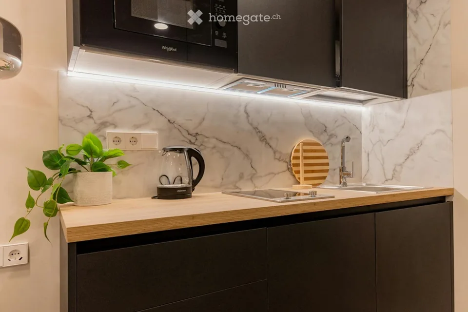 Equipped studio for rent at Wattstrasse 118050 Zürich