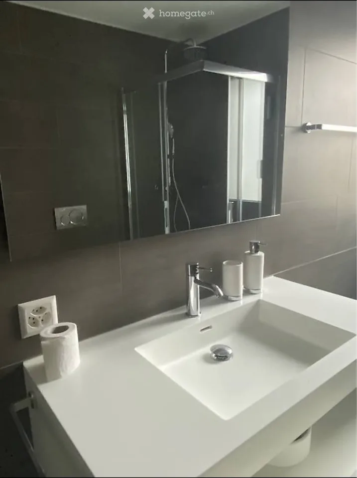 Appartement sous-locatif 2.5 pièces