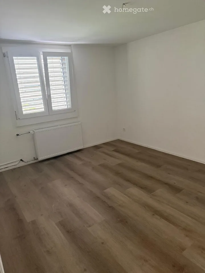 Lake view: 3-room apartment in old building on the boulevard - AVAILABLE IMMEDIATELY