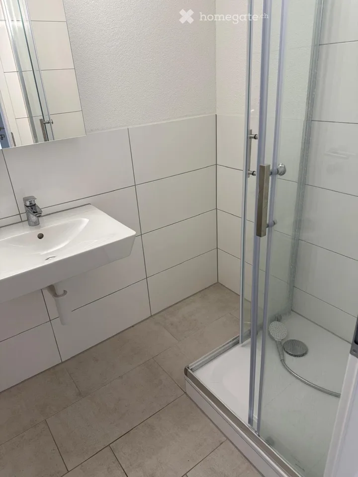 Lake view: 3-room apartment in old building on the boulevard - AVAILABLE IMMEDIATELY