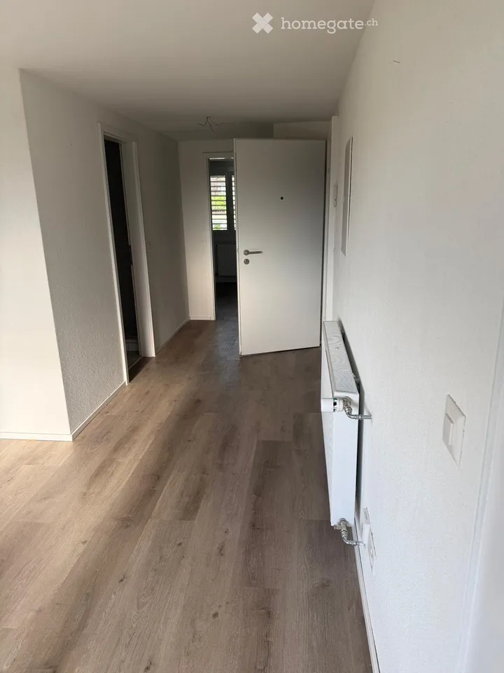 Lake view: 3-room apartment in old building on the boulevard - AVAILABLE IMMEDIATELY