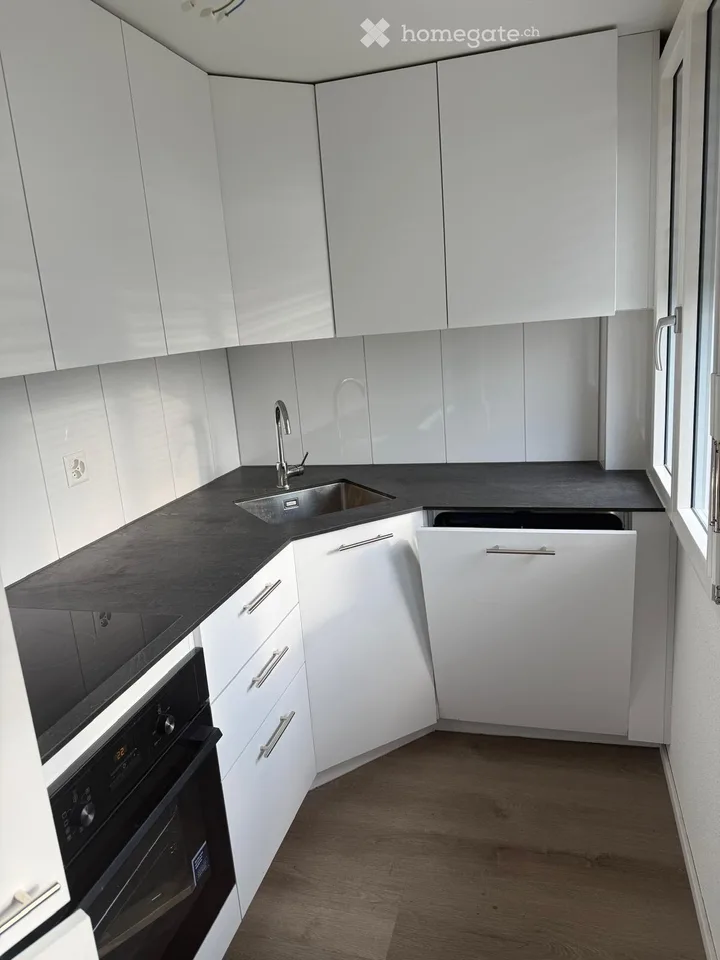 Lake view: 3-room apartment in old building on the boulevard - AVAILABLE IMMEDIATELY