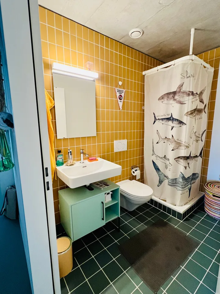 2½ ZI-WOHNUNG IN ZÜRICH - KREIS 5, MÖBLIERT, TEMPORÄR – Foto 7 von 20