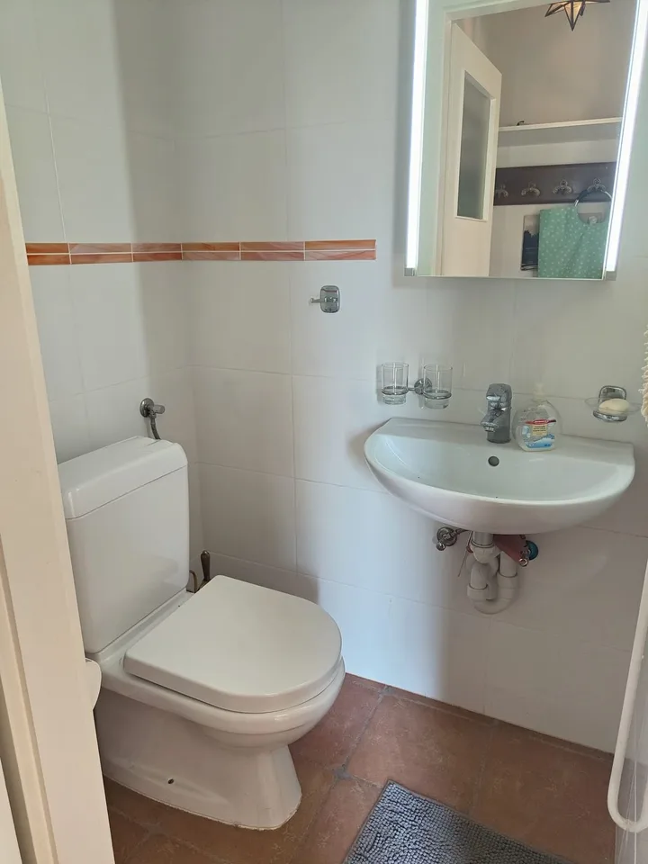In affitto appartamento ammobiliato di 1,5 locali con vista magnifica nel centro di Saint-Légier (VD) – foto 7 di 7