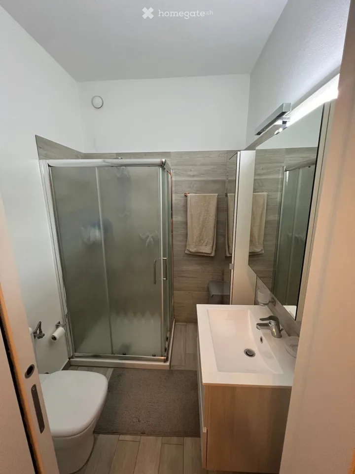 2.5 locali ristrutturati in centro Lugano/zona USI