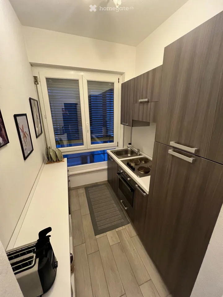 2.5 locali ristrutturati in centro Lugano/zona USI