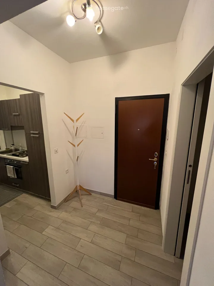 2.5 locali ristrutturati in centro Lugano/zona USI