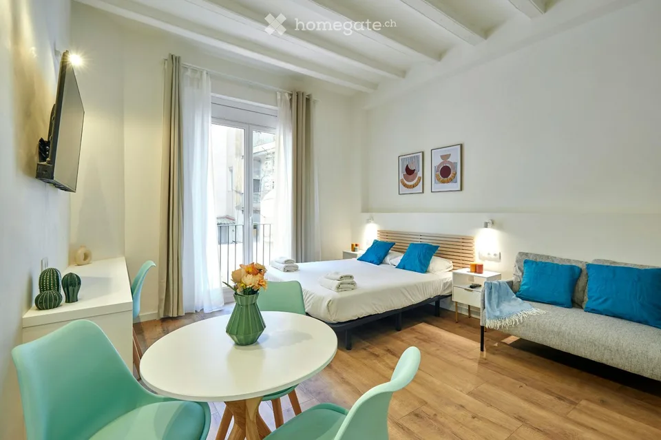 Studio meublé avec balcon  Bucheggstrasse, 8057 Zurich