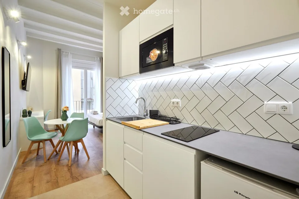 Monolocale arredato con balcone Bucheggstrasse, 8057 Zurigo