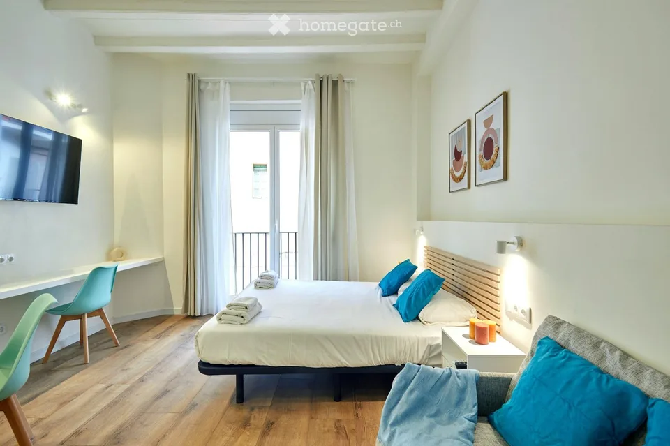 Monolocale arredato con balcone Bucheggstrasse, 8057 Zurigo