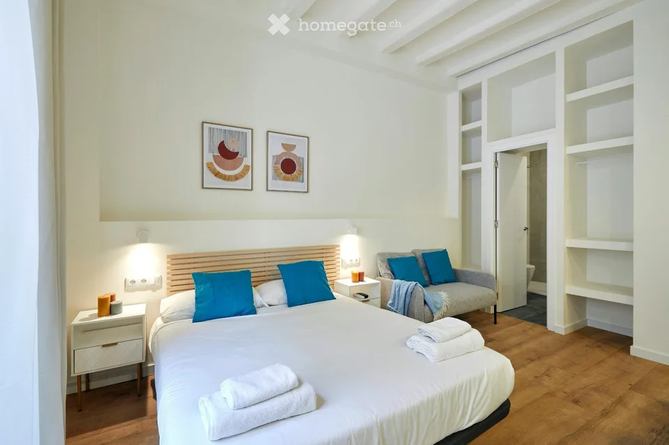 Monolocale arredato con balcone Bucheggstrasse, 8057 Zurigo