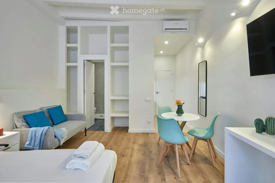 Monolocale arredato con balcone Bucheggstrasse, 8057 Zurigo
