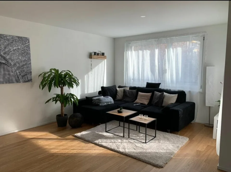 Appartement moderne 2.5 pièces dans un lieu populaire recherche un nouveau locataire