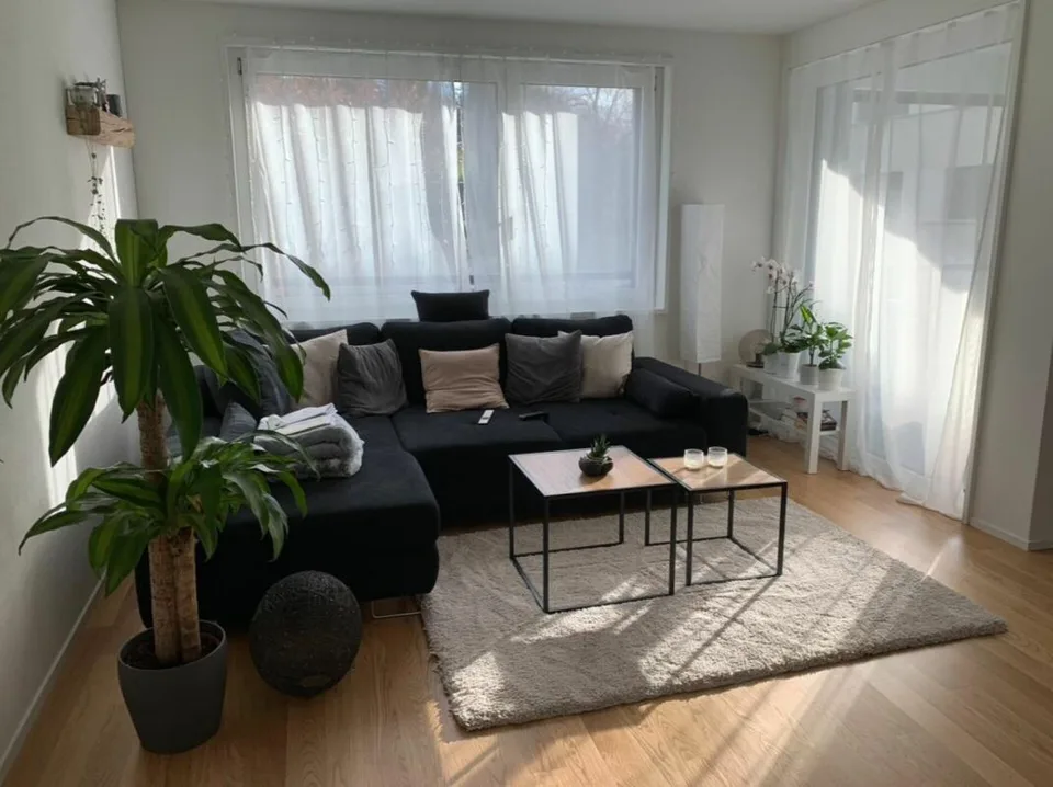 Appartement moderne 2.5 pièces dans un lieu populaire recherche un nouveau locataire