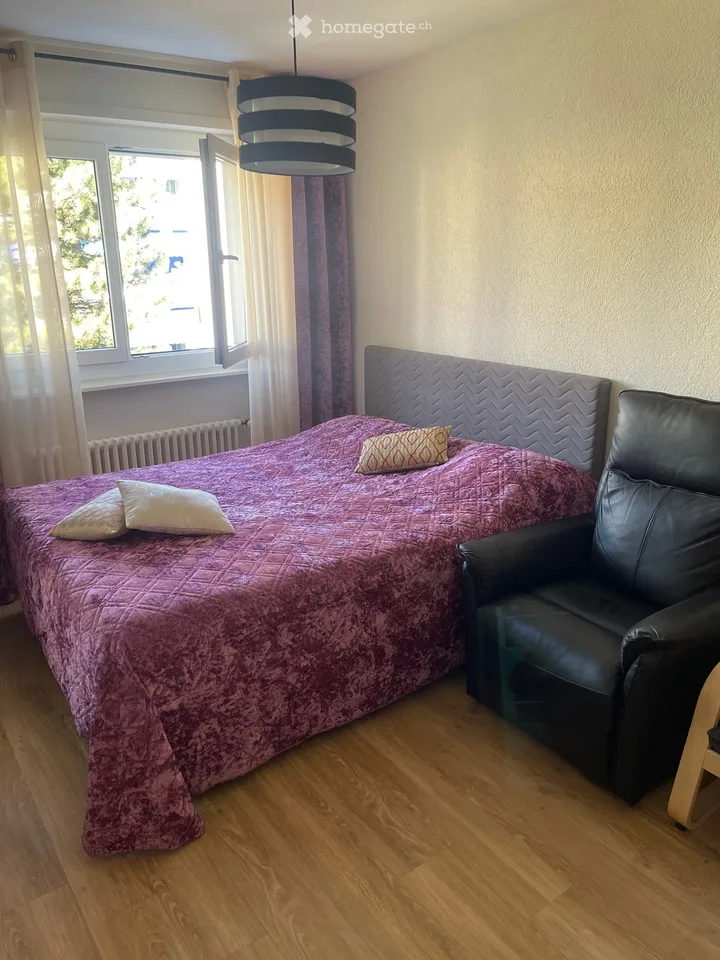 Studio luminoso e tranquillo a Bussigny