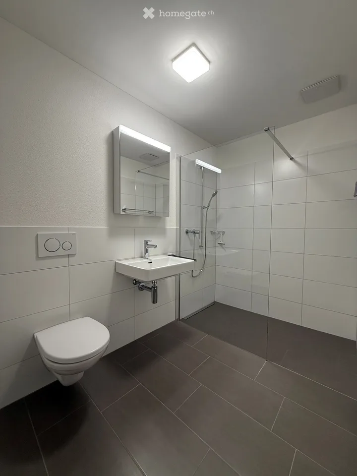 4.5 Zimmer Wohnung in Root zu vermieten!