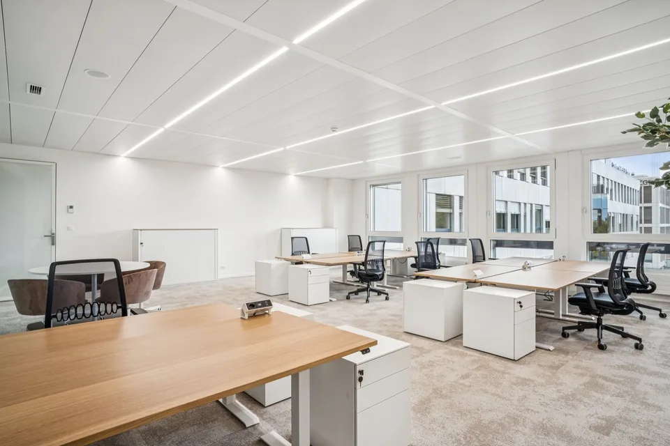 New and fully equipped offices