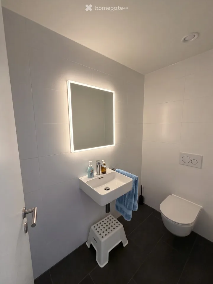 Appartement exclusif 4,5 pièces en norme de propriétaire – vue à couper le souffle sur les chutes du Rhin