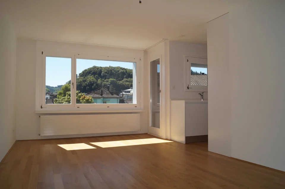 3 Zimmer-Wohnung