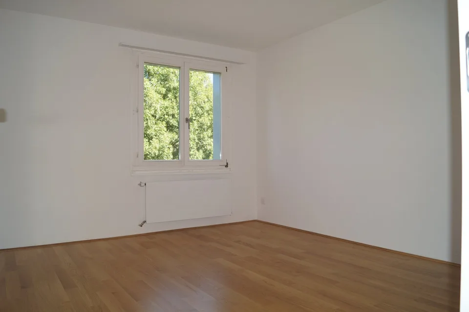 3 Zimmer-Wohnung