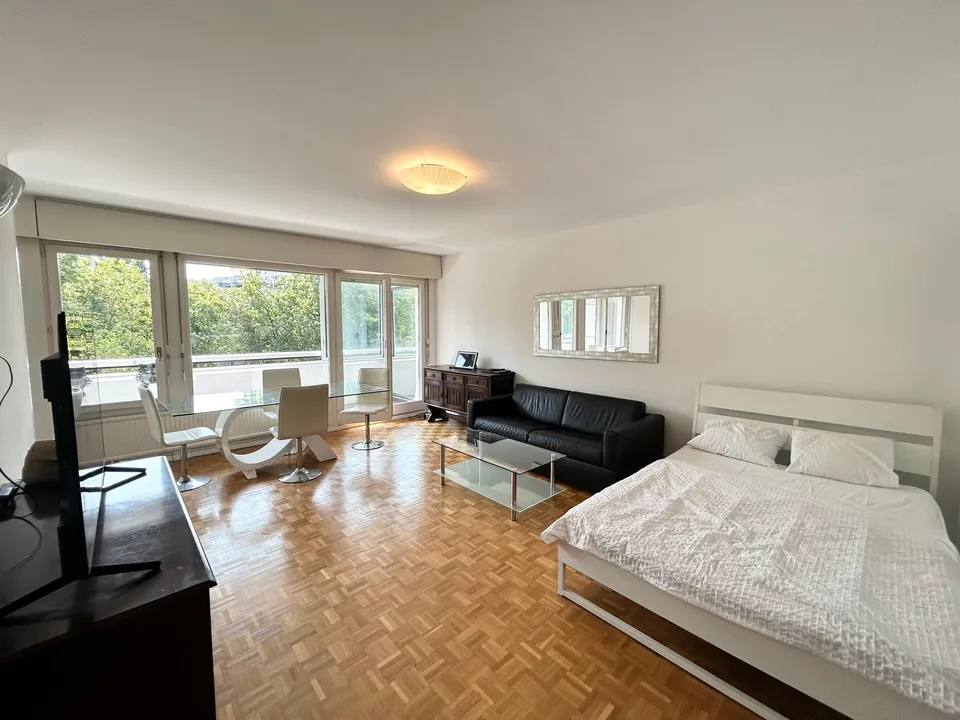 Grand studio (2 pièces) meublé avec loggia et accès à un magnifique pa