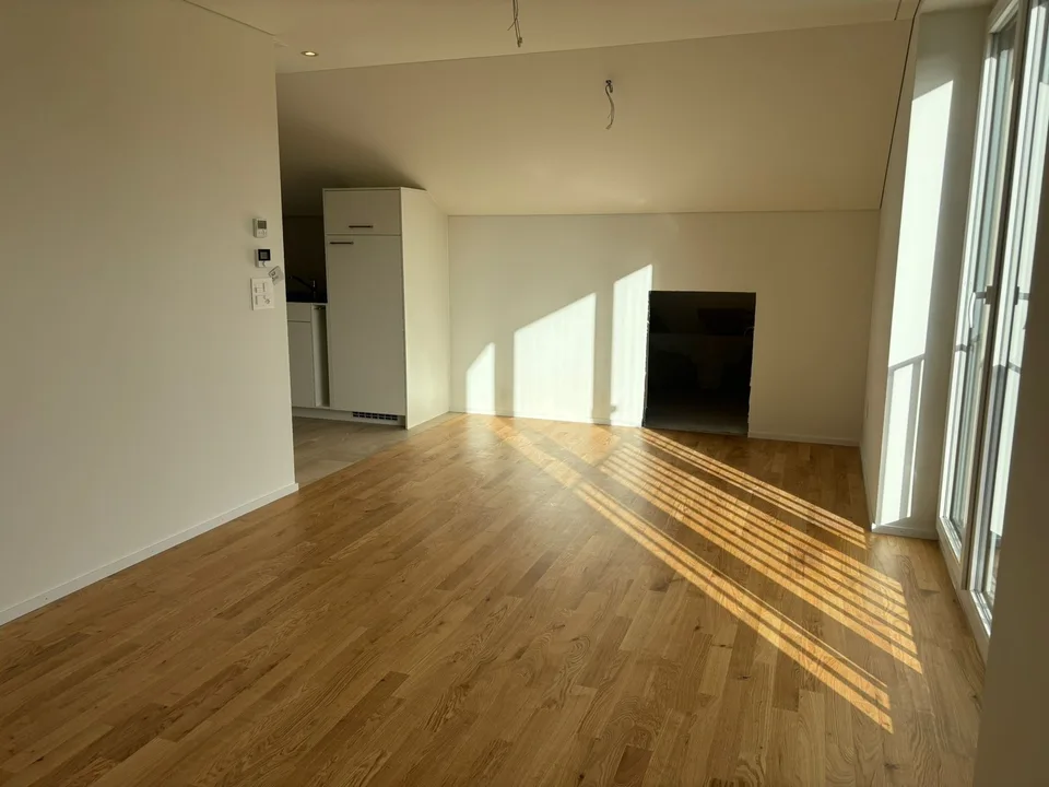 1.5-room apartment compact, modern and bright in Mülligen