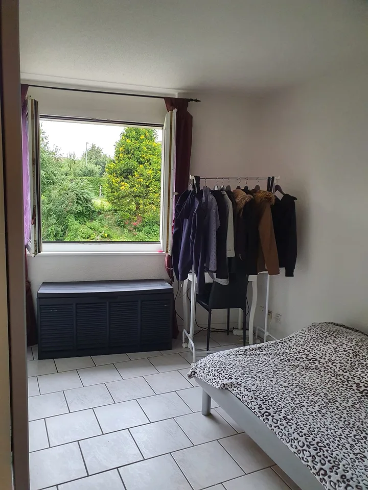 2-Zimmer-Wohnung in ruhiger Lage in Düdingen