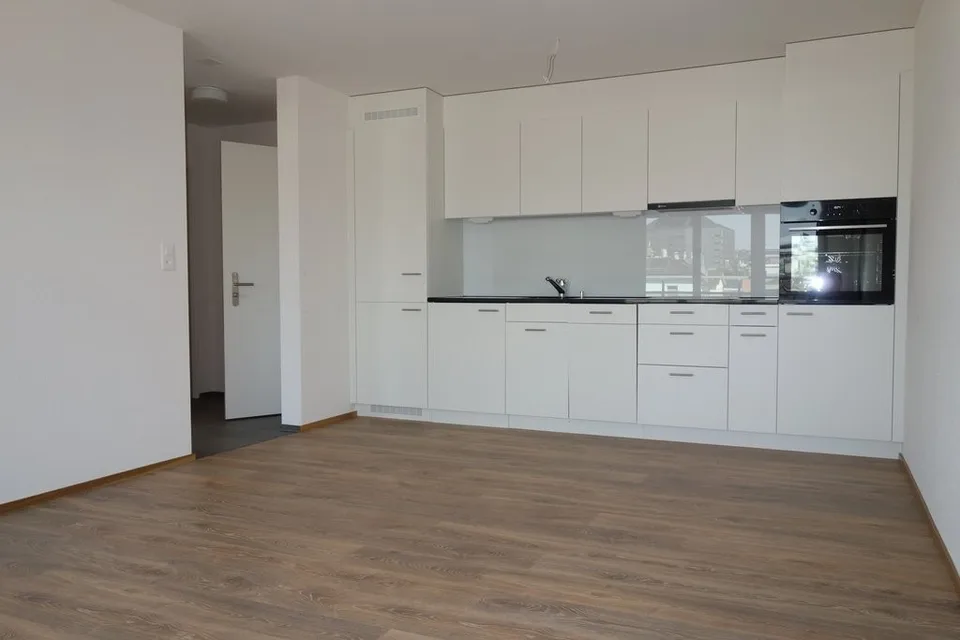 Modern apartment - in the heart of Zurich city