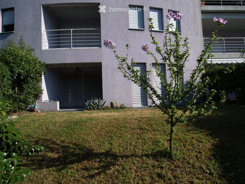 Minusio, vend appartement deux pièces avec jardin, revenu locatif