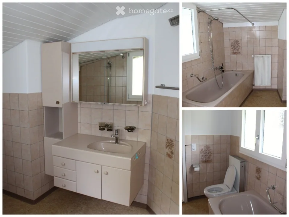 Freshly renovated apartment in the green