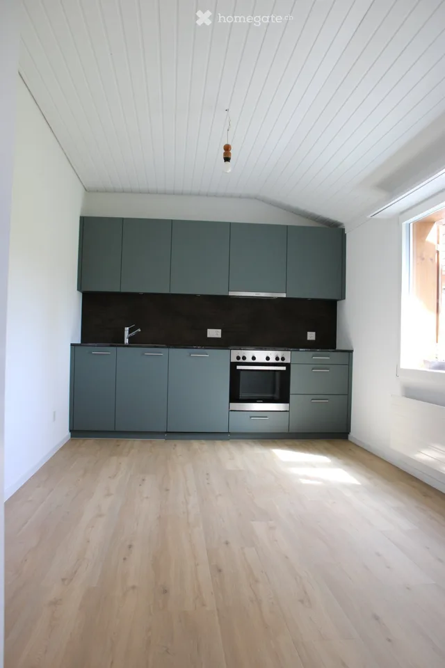 frisch renovierte Wohnung im Grünen