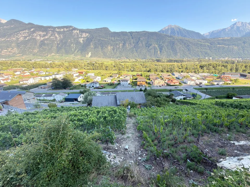 Terreno edificabile di 988 m² sul pendio di Branson a Fully – Opportunità rara