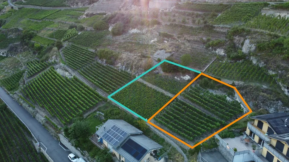 Terreno edificabile di 988 m² sul pendio di Branson a Fully – Opportunità rara