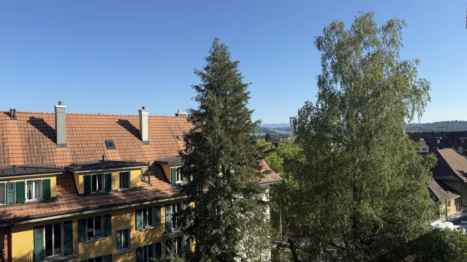 2 1/2-Zimmer-Dachwohnung mit schöner Aussicht
