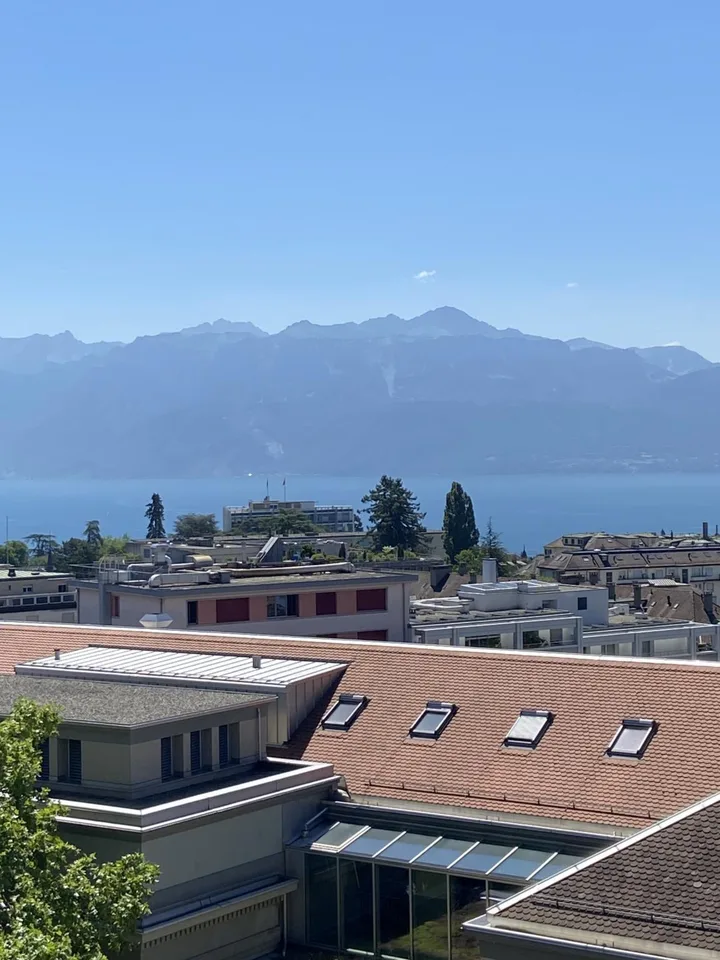 Prächtige 4-Zimmer-Wohnung komplett renoviert mit schöner Terrasse