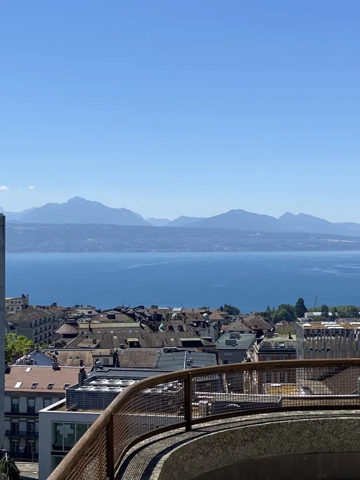 Magnifique appartement de 4 pièces entièrement rénové avec belle terrasse