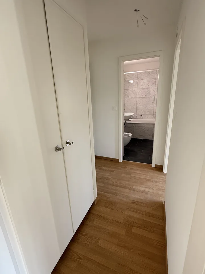 Bright 2.5-room apartment with new kitchen & bathroom