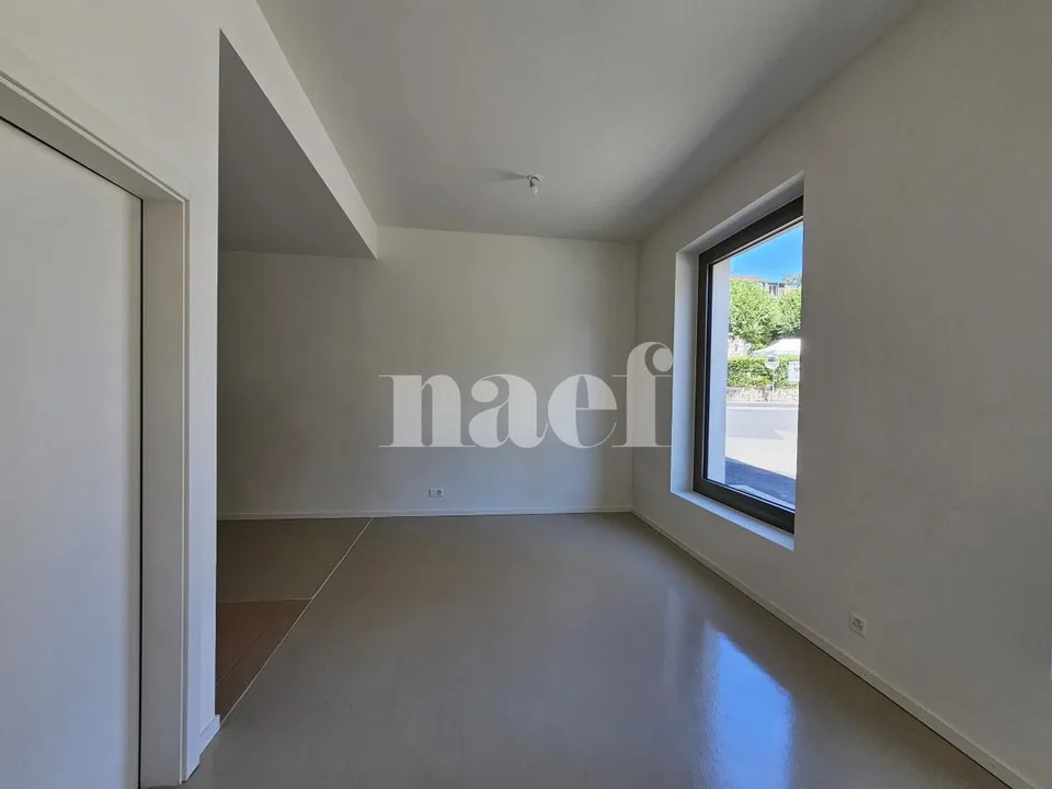 Arcata di 60 m², villaggio storico di Chêne-Bougeries