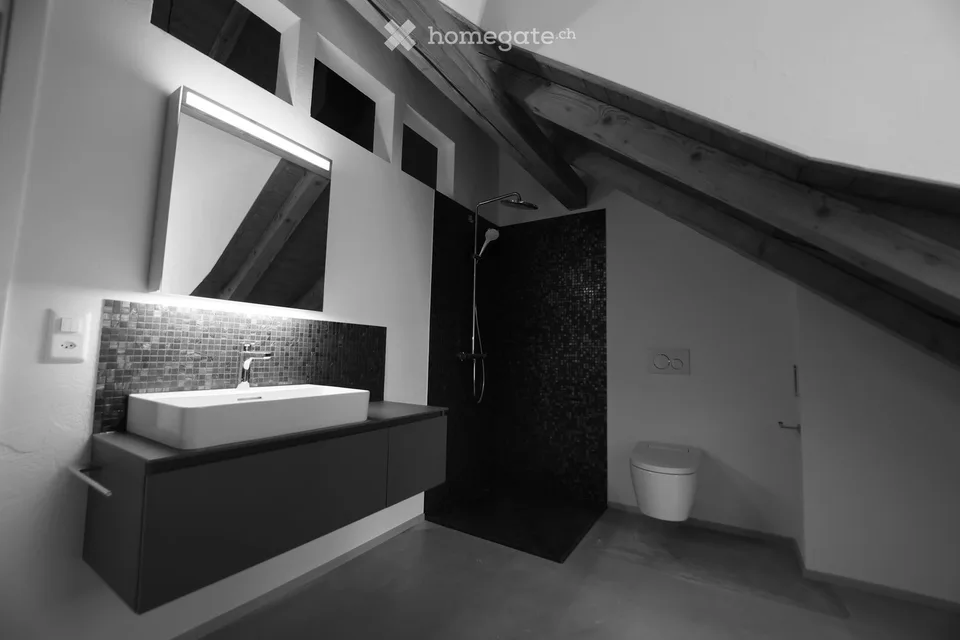 Loft-Dachwohnung in Uetikon am See