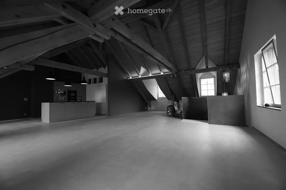 Loft-Dachwohnung in Uetikon am See