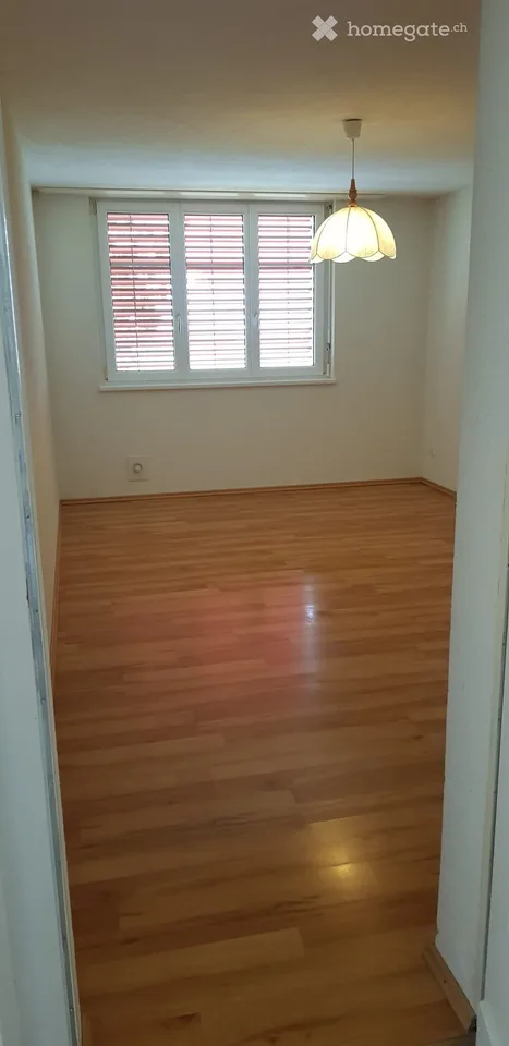Charming 2-room apartment with mountain view