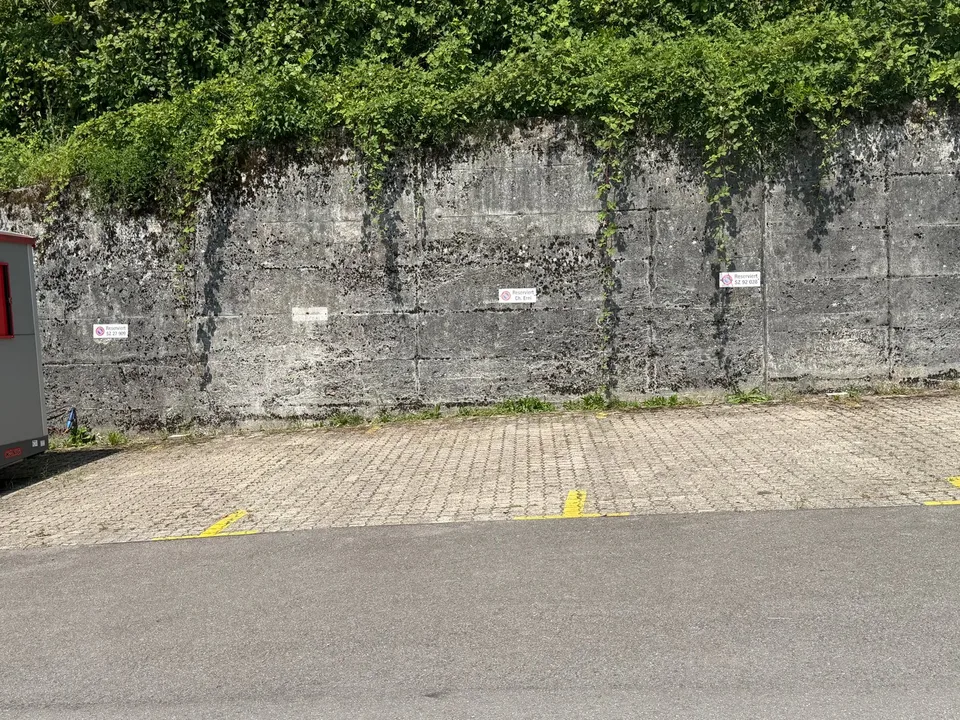 External parking spaces - ideal for second cars like seasonal vehicles