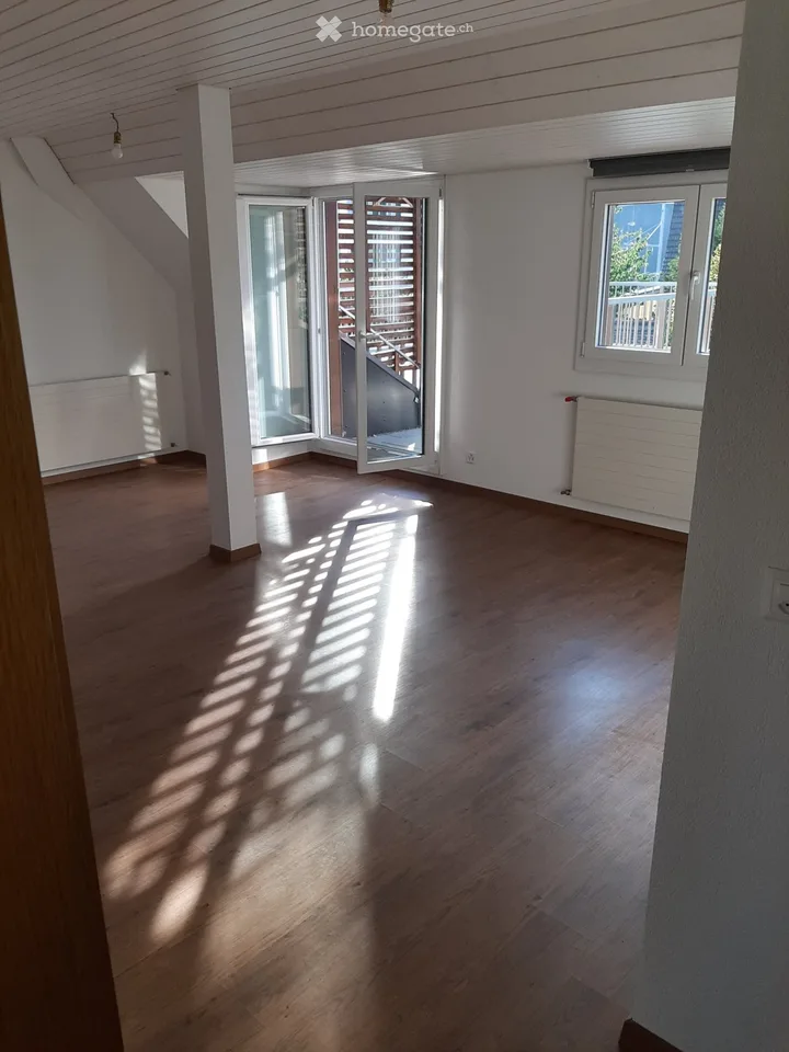 Charmant appartement de 2,5 pièces en mansarde avec grande terrasse