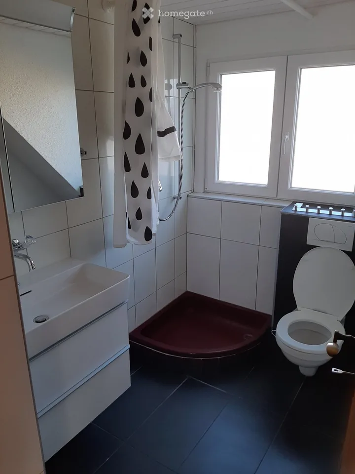 Charmant appartement de 2,5 pièces en mansarde avec grande terrasse