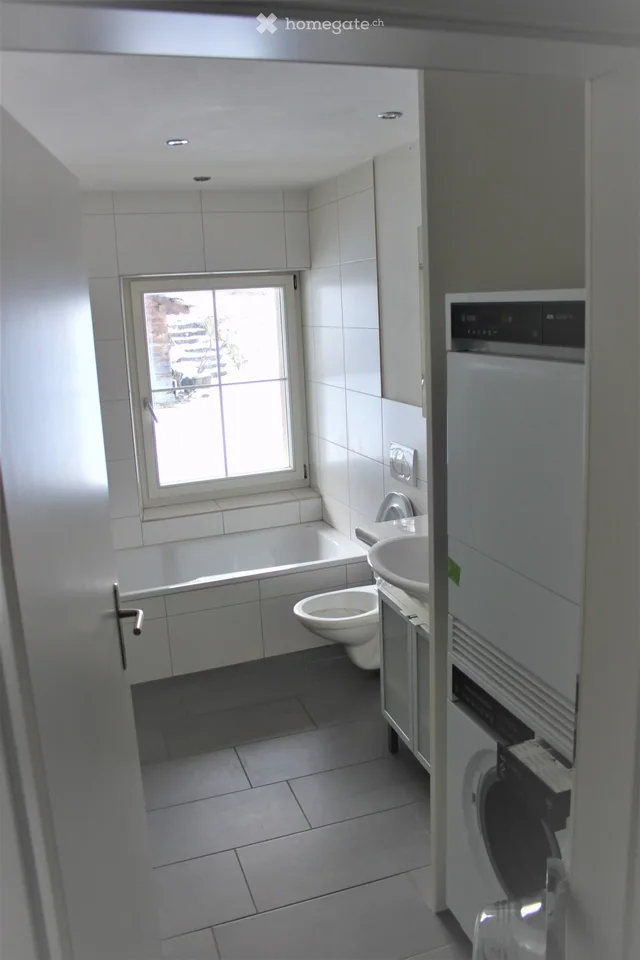 Charmant appartement 3.5 pièces au centre de Villigen