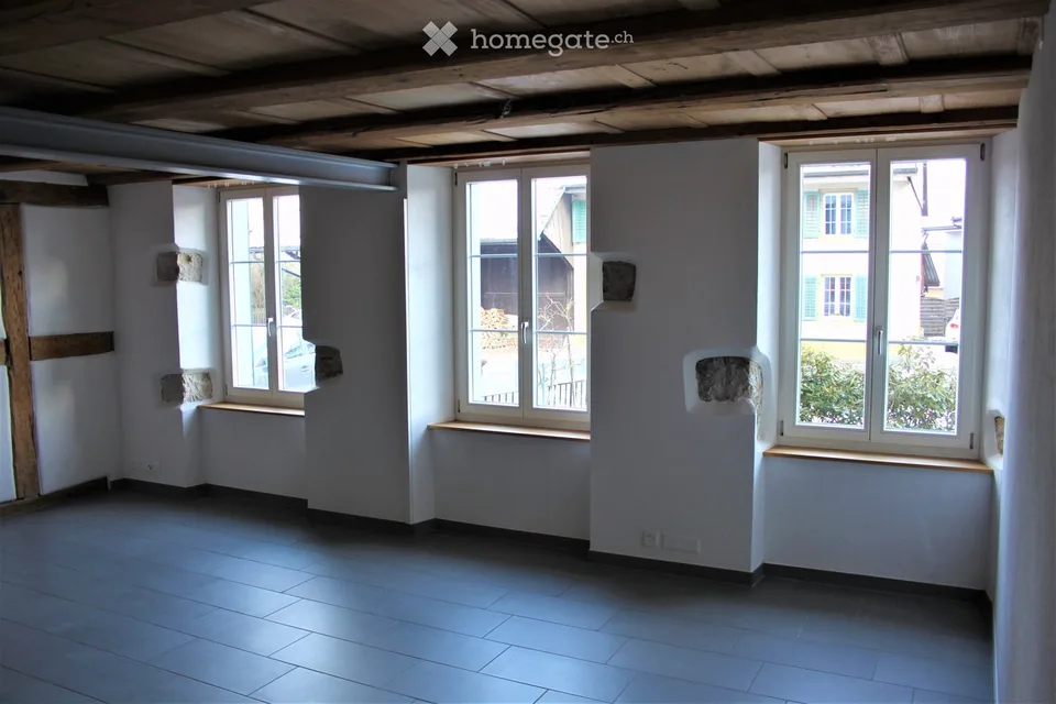 Charmant appartement 3.5 pièces au centre de Villigen