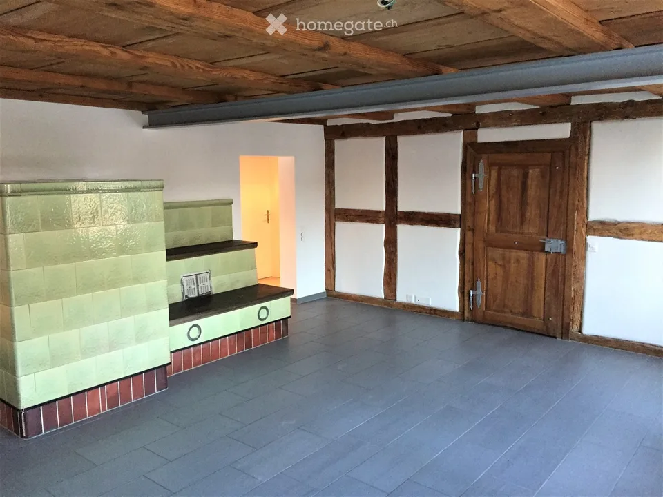 Charmant appartement 3.5 pièces au centre de Villigen