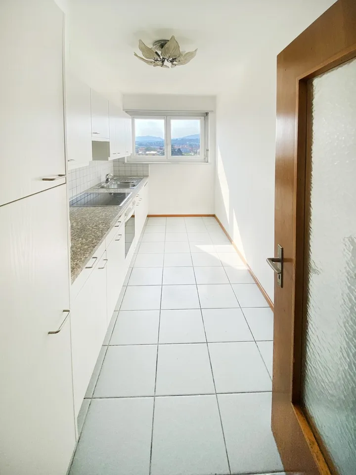 Bel appartement 3,5 pièces avec terrasse panoramique