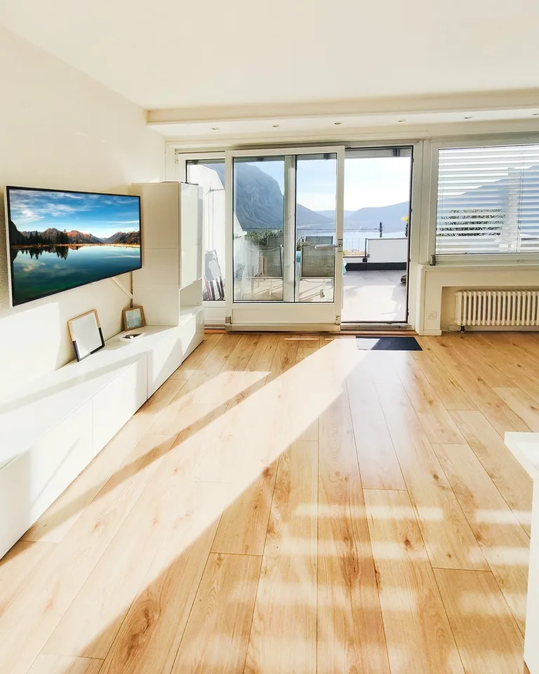 Bright 2.5-room apartment with large terrace and lake view in a residence with pool
